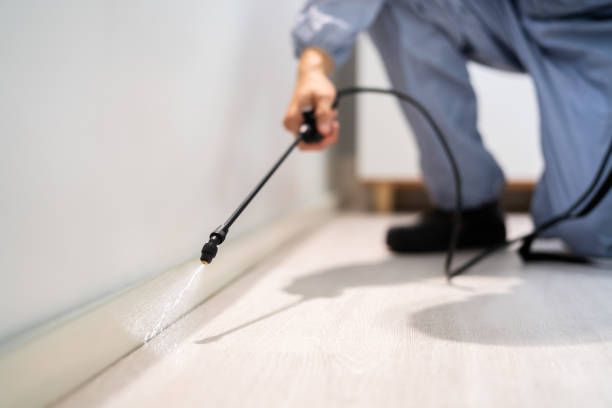 Licensed Cockroach Control service in Ramsey County County, ND - Nex Pest Control