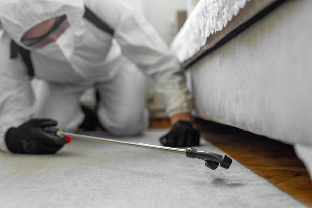 Professional Cockroach Control technician working in Ramsey County County, ND